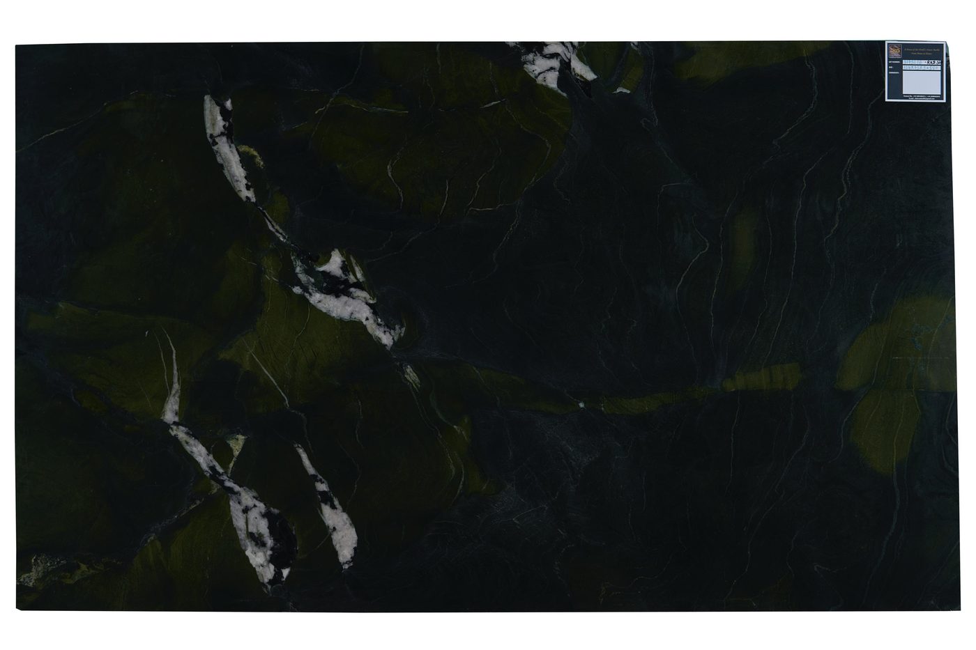 Black and green marble slab with white veins